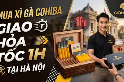 Mua Xì Gà Cohiba Giao Hỏa Tốc 1H Tại Hà Nội | Địa Chỉ Uy Tín 2026